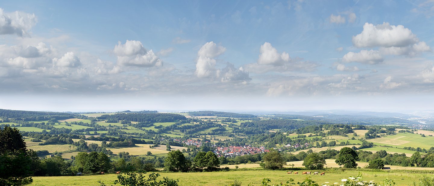 Vogelsberg-Panorama