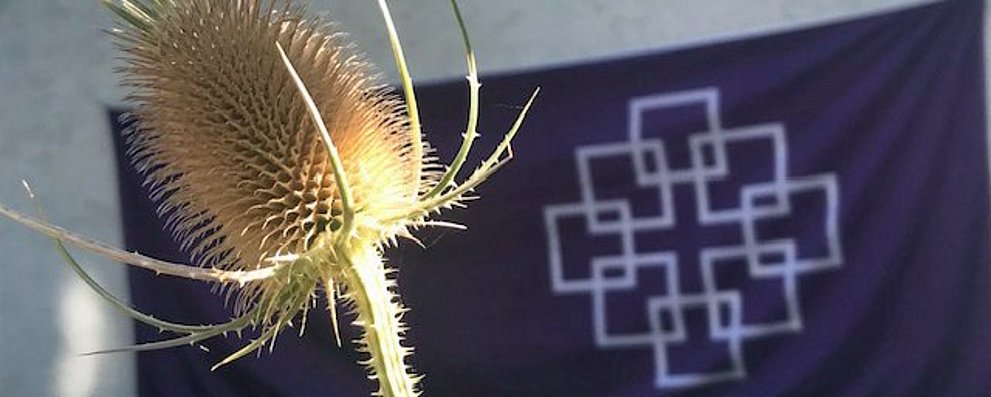 Facettenkreuz-Banner in lila an einer außen angrenzenden Mauer, getrocknete Distel davor.