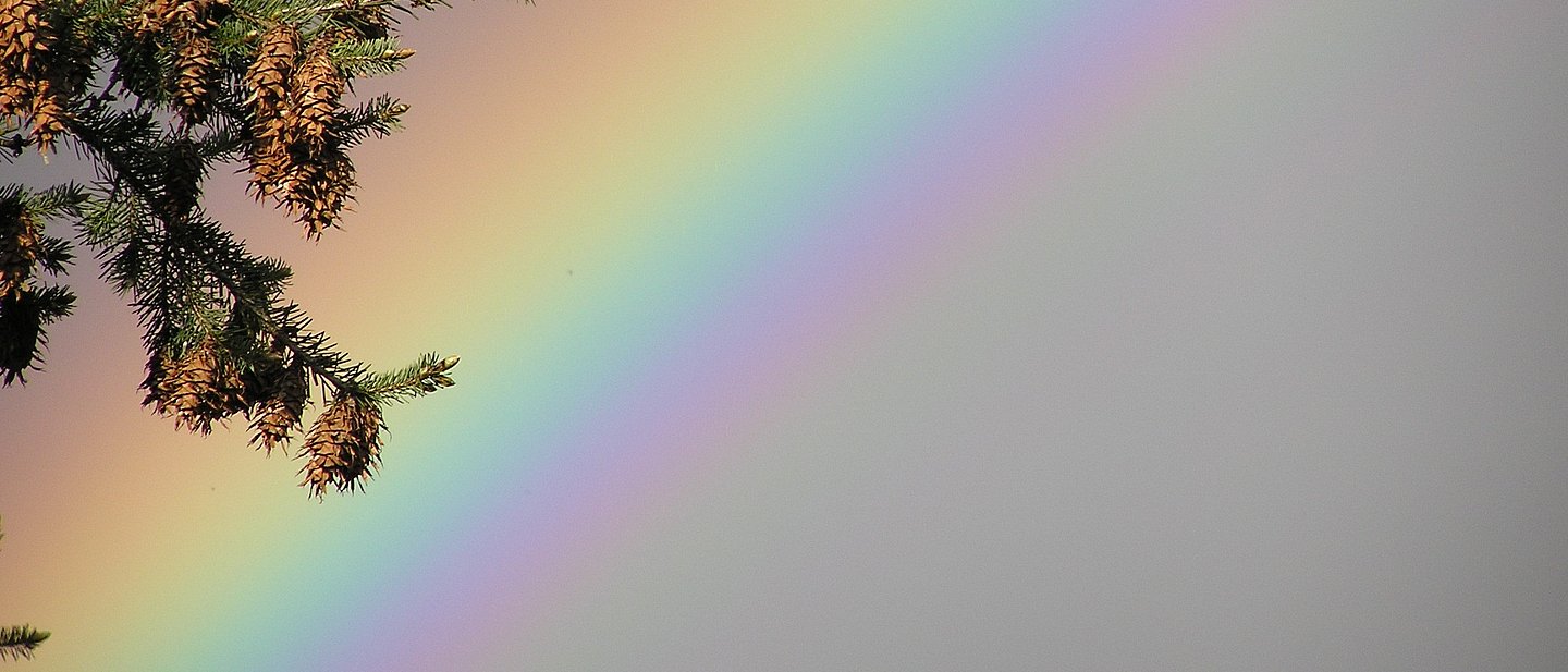 Regenbogen