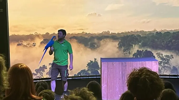 Bilder vom Ausflug der Maxikinder in den Tierpark Bell und der anschließend Abschlussfeier in der KiTa!