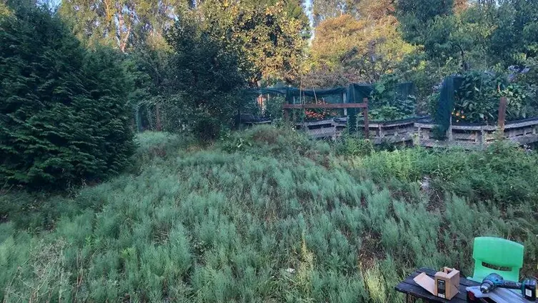 Auf den Fotos sieht man die Kinder und ErzieherInnen des "Haus des Kindes" beim Anlegen einer Feuerstelle und 2 Hochbeeten in ihrem Garten