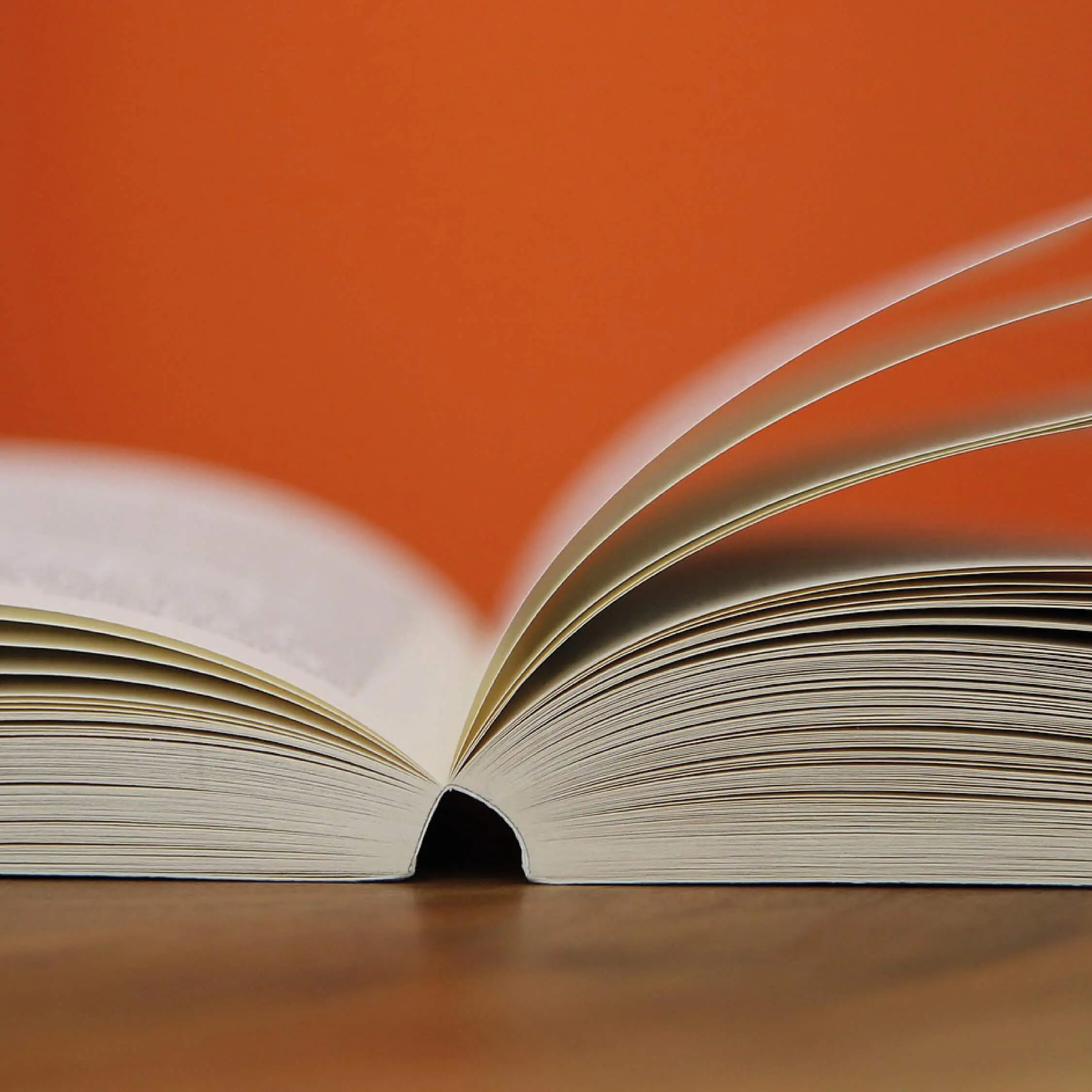 Buch lesen, zur Hölle mit der Hölle