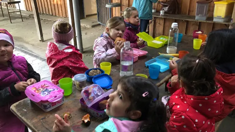 Die Fotos zeigen die KiTa-Kinder bei ihren Aktivitäten während der Waldwochen auf der Scheune.