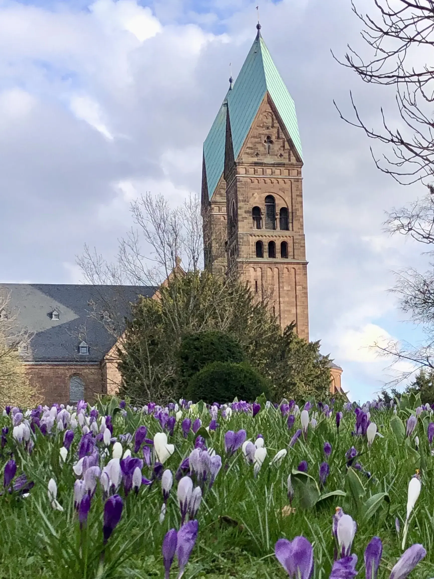 Ansicht der Erlöserkirche aus dem Schlosspark. im Vordergrund eine Wiese mit Krokussen