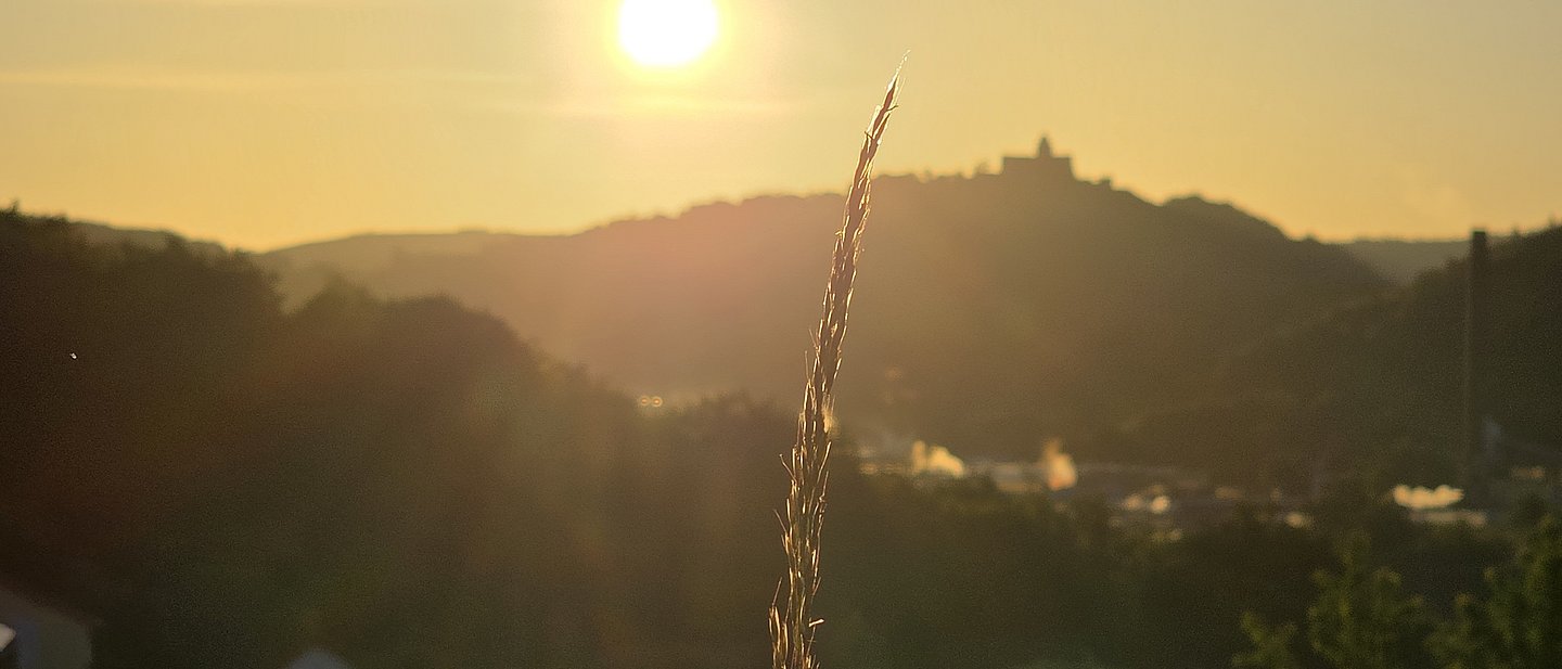 Stimmungsvolle Landschaft im Morgenlicht, Sonne im Gegenlicht. Im Vordergrund ein Grashalm, dahinter verschwommen eine Landschaft, am Horizont eine Burg. In der Bildmitte erahnbar eine Ortschaft