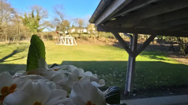 Blume im Vordergrund, dahinter Unterstand und Pfarrgarten Rodheim