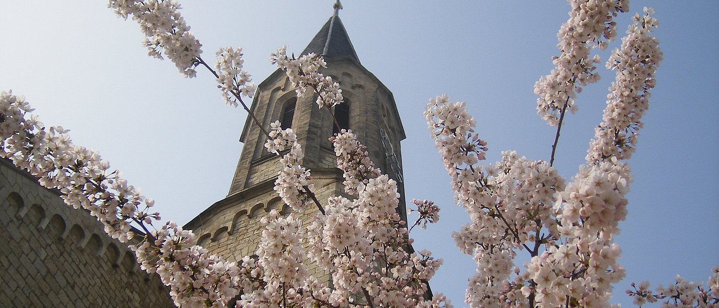 Johanneskirche im Frühling