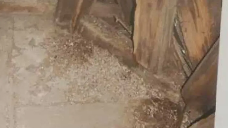 Die Texte und Fotos beruhen auf der "Besonderen Lernleistung - Geschichtsrezeption im digitalen Zeitalter: histocaching" als neue Form der Vergangenheitsbegegnung am Beispiel der Braubacher Barbarakirche." von Tobias Metz.