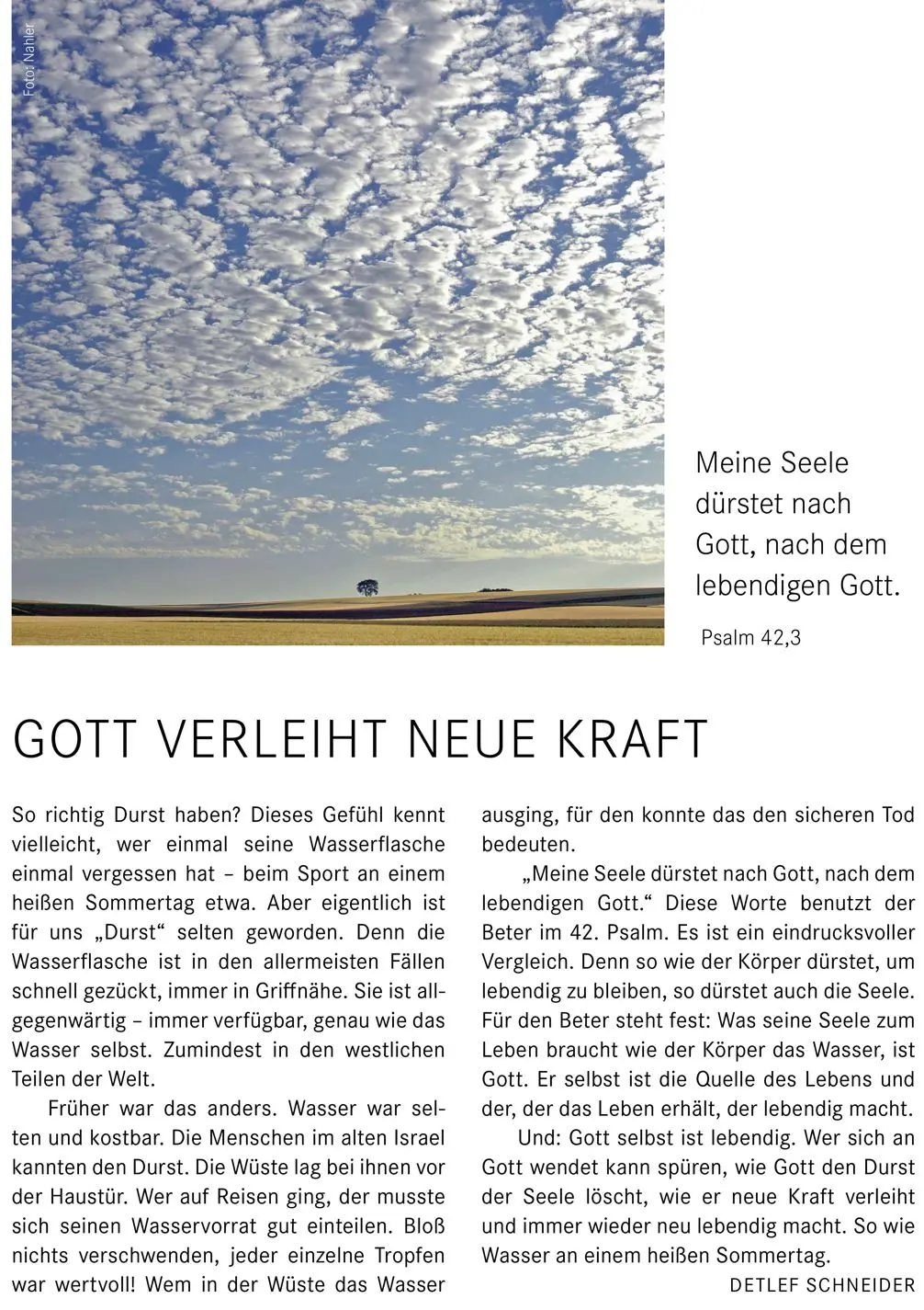 Monatsspruch Juli 2022