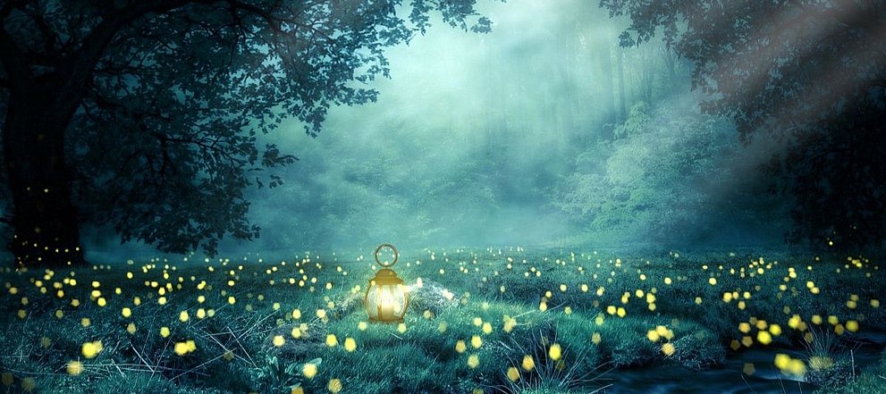 Waldlichtung bei Nacht mit leuchtenden Glühwürmchen