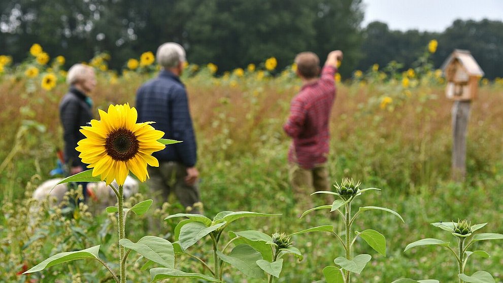 Drei Menschen und ein Hund stehen in einem Feld mit Sonnenblumen