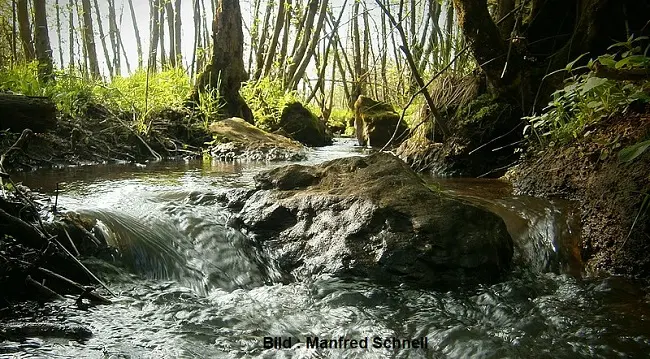 Impressionen aus dem Seemental