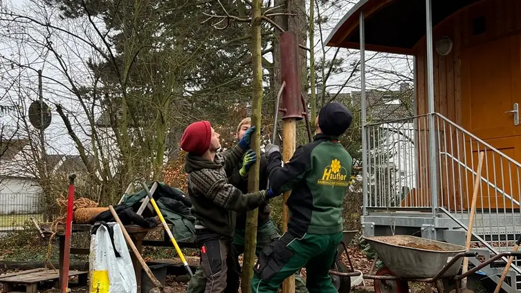 Pflanzaktion Kastanie