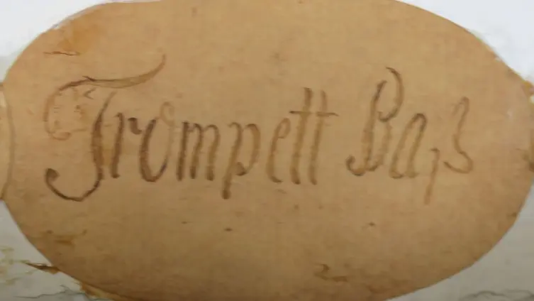 Manual - Trompetenbass 8' - Bass als Trompete