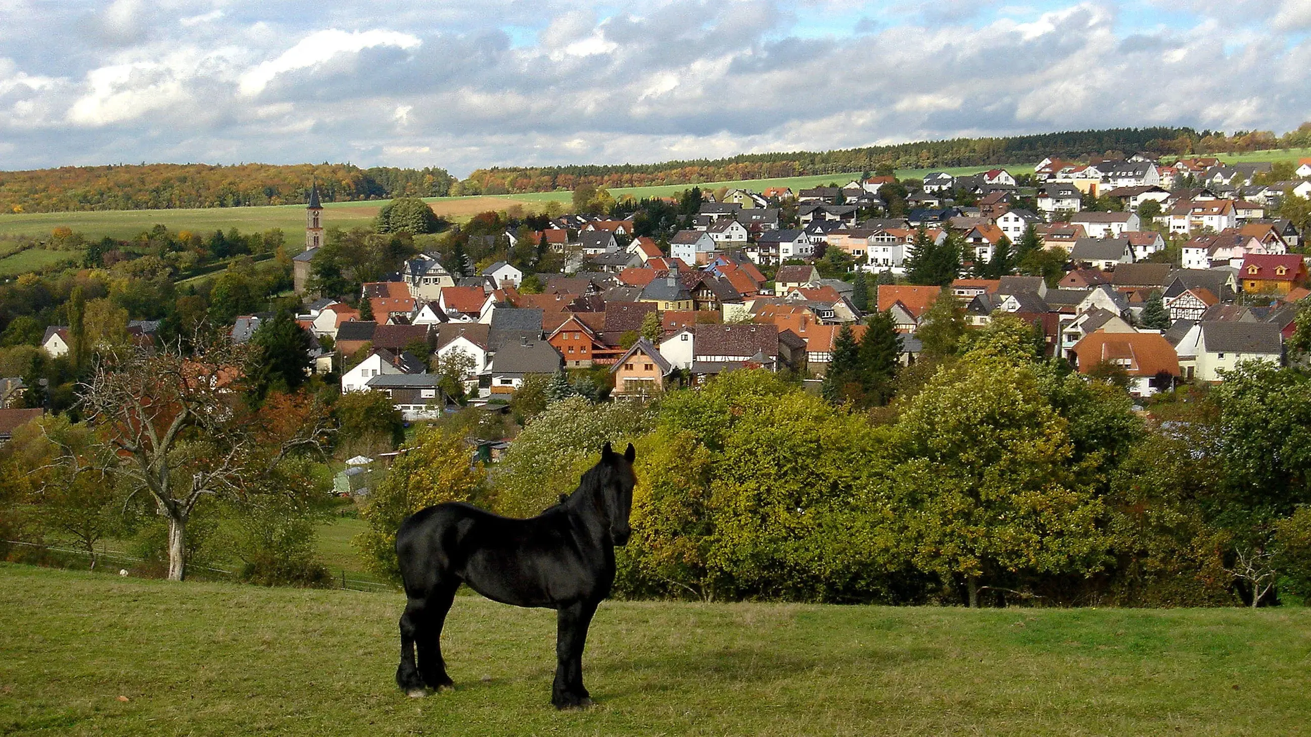 Blick über die Koppel (mit Pferd) runter ins herbstliche Steinfischbach
