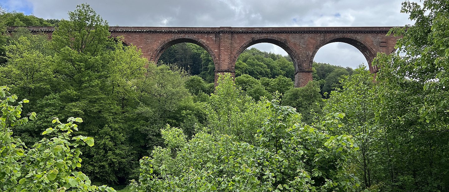 Eisenbahnviadukt, das aus üppiger Vegetation herausragt, viel Chlorophyll