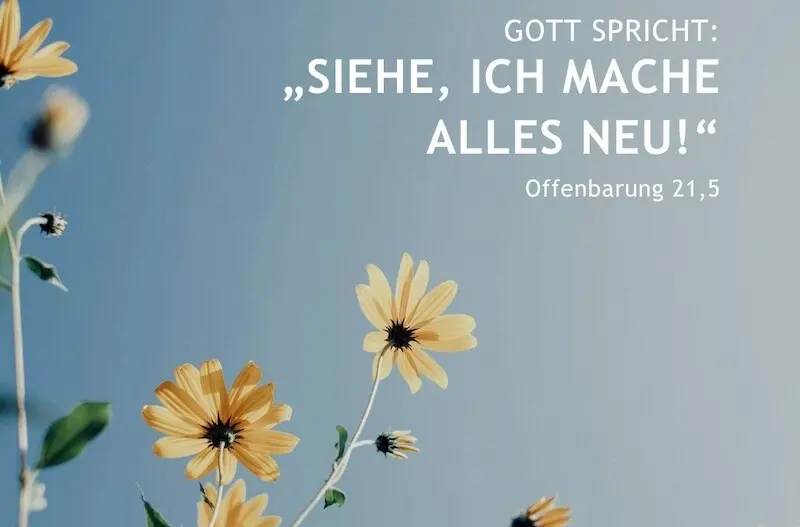 Das Foto zeigt zartgelbe Blüten vor einem hellblauen Himmel und den Text der Jahreslosung