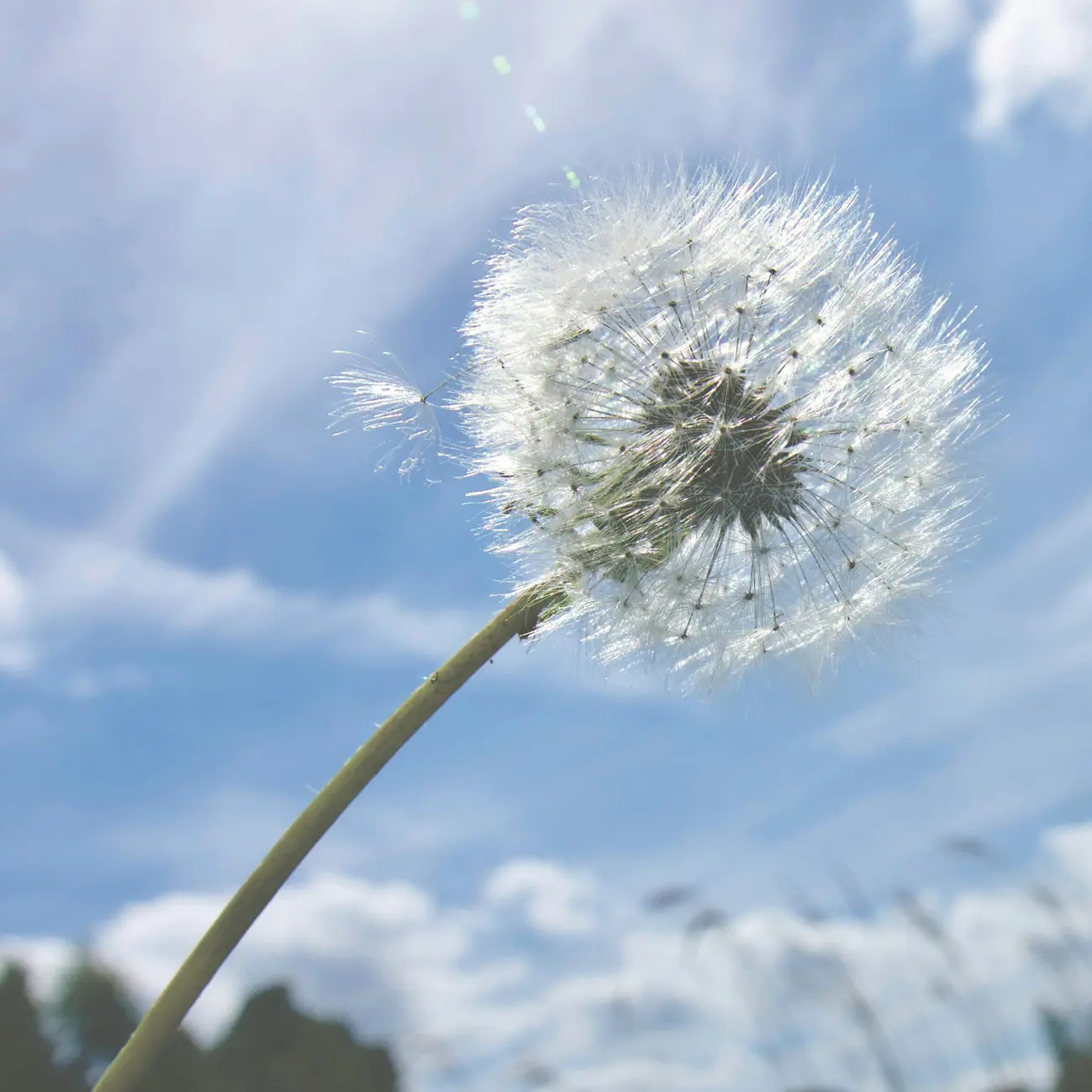 Seelsorge Beratung Gespräch