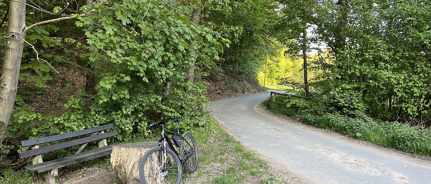 Typische Odenwaldlandschaft, im Vordergrund eine Bank, an die ein Fahrrad gelehnt ist, ein Weg führt aus dem Wald ins Helle