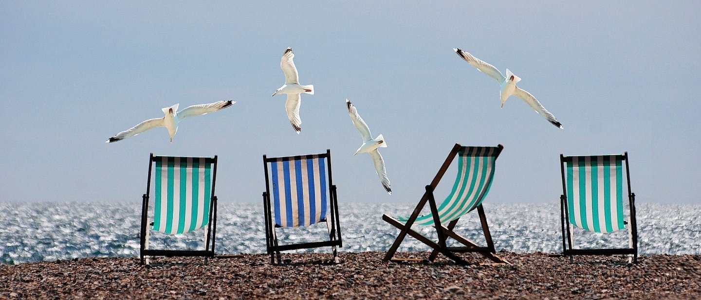 Vier grün und blau gestreifte Sonnenstühle am Strand, darüber fliegen Möven