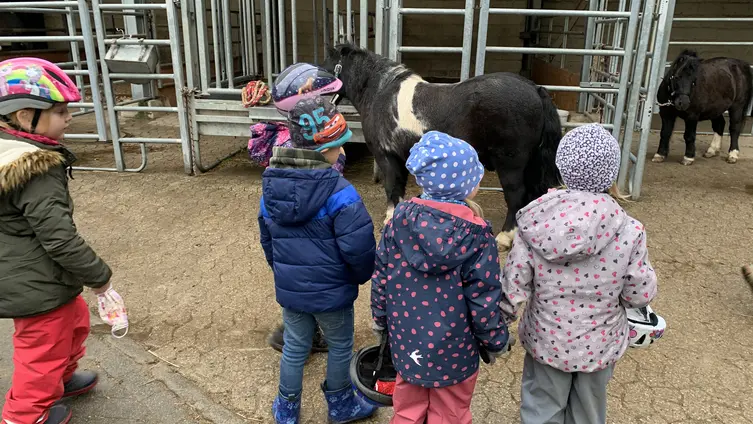Auf dem Foto sieht man KiTakinder auf dem Hofgut Bissingen bei der Pferdepflege.