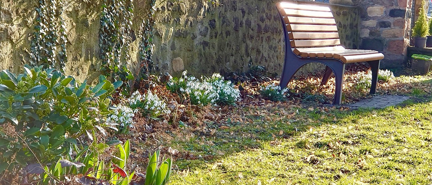 Das Paradiesgärtchen im Kirchgarten der Auferstehungskirche - Ruhebank in der Sonne