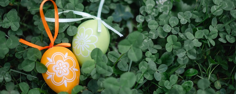 Zwei Ostereier - eines hellgrün, eines orange - in grünem Klee