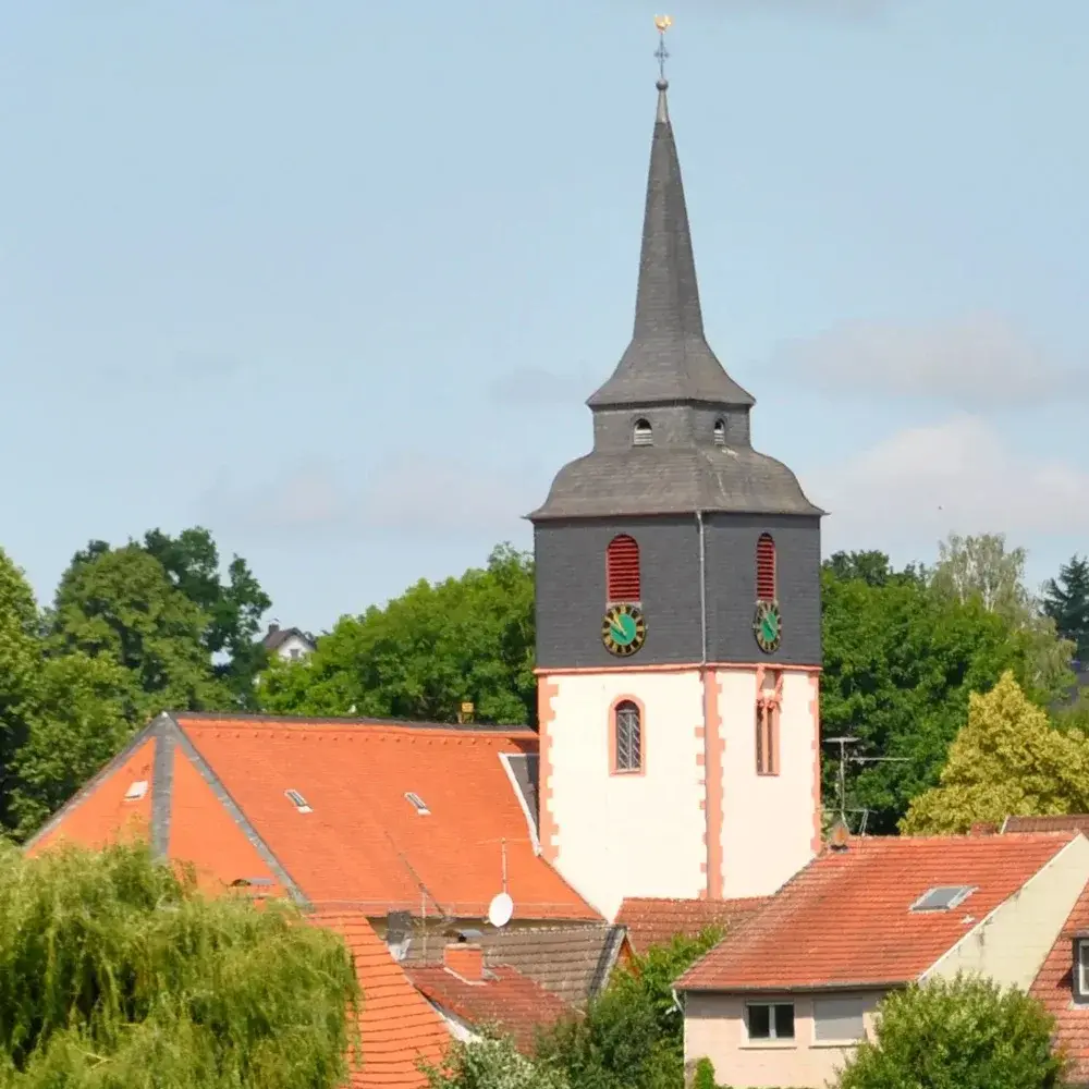 Dreifaltigkeitskirche Reinheim – Blick über Wiesen auf die Kirche