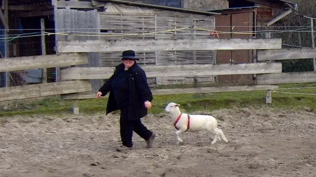 Newsletter MonatsImpuls Pfarrerin Karin Becker