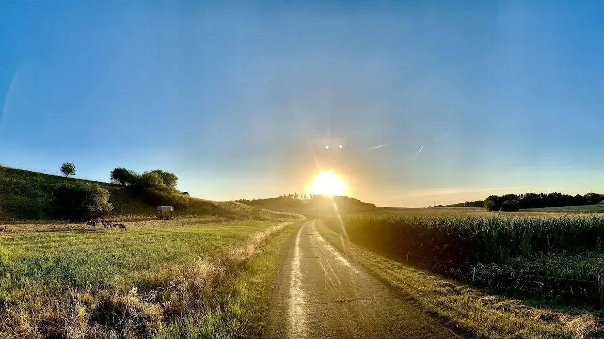 Sonnenaufgang Blick auf einem Feldweg auf die aufgehende Sonne, welche genau auf der Höhe der Straße aufgeht.