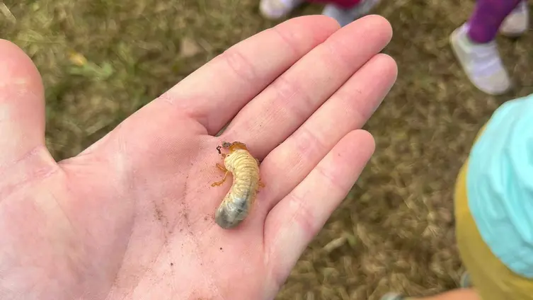Auf den Fotos sieht man die Kinder und ErzieherInnen des "Haus des Kindes" beim Anlegen einer Feuerstelle und 2 Hochbeeten in ihrem Garten