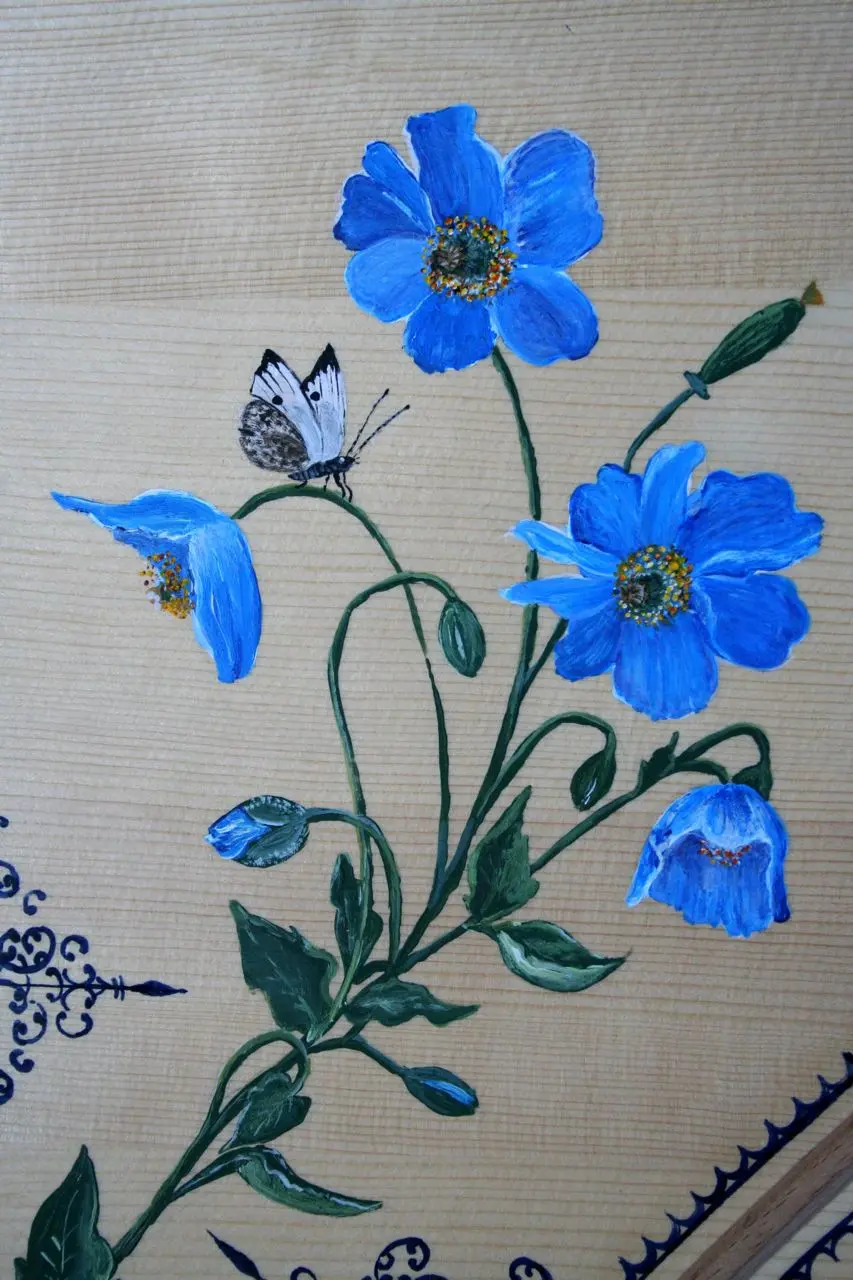 Blaue Mohnblume Cembalo Petrus
