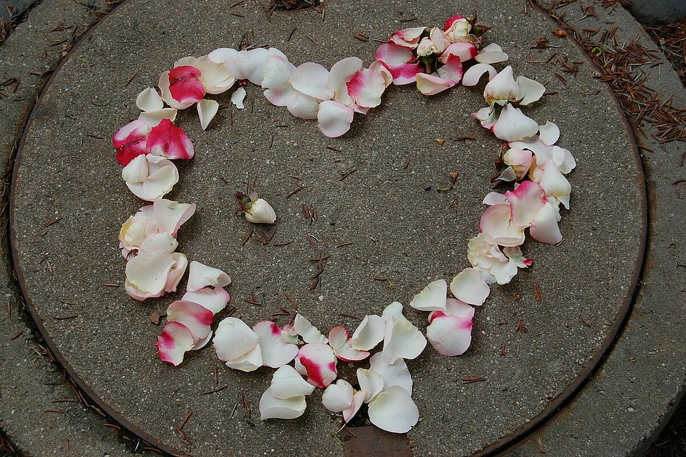 Auf einem Stein wurde ein Herz aus Blütenblättern gestreut.