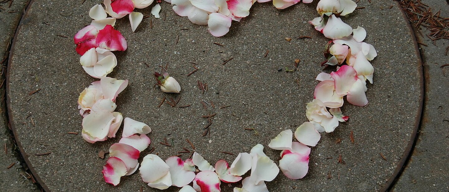 Auf einem Stein wurde ein Herz aus Blütenblättern gestreut.