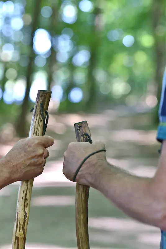 Zwei Personen pilgern durch einen lichtdurchfluteten Wald