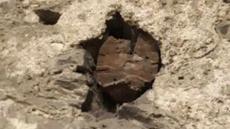 Die Texte und Fotos beruhen auf der "Besonderen Lernleistung - Geschichtsrezeption im digitalen Zeitalter: histocaching" als neue Form der Vergangenheitsbegegnung am Beispiel der Braubacher Barbarakirche." von Tobias Metz.