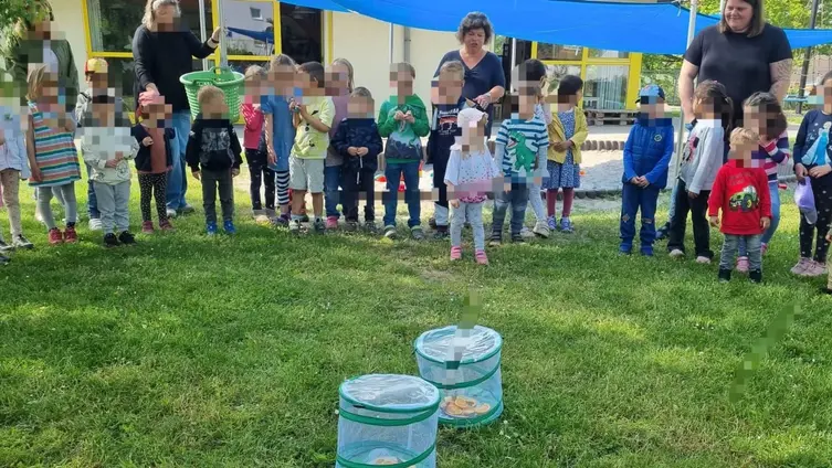 Schmetterlinge werden ins Freie entlassen