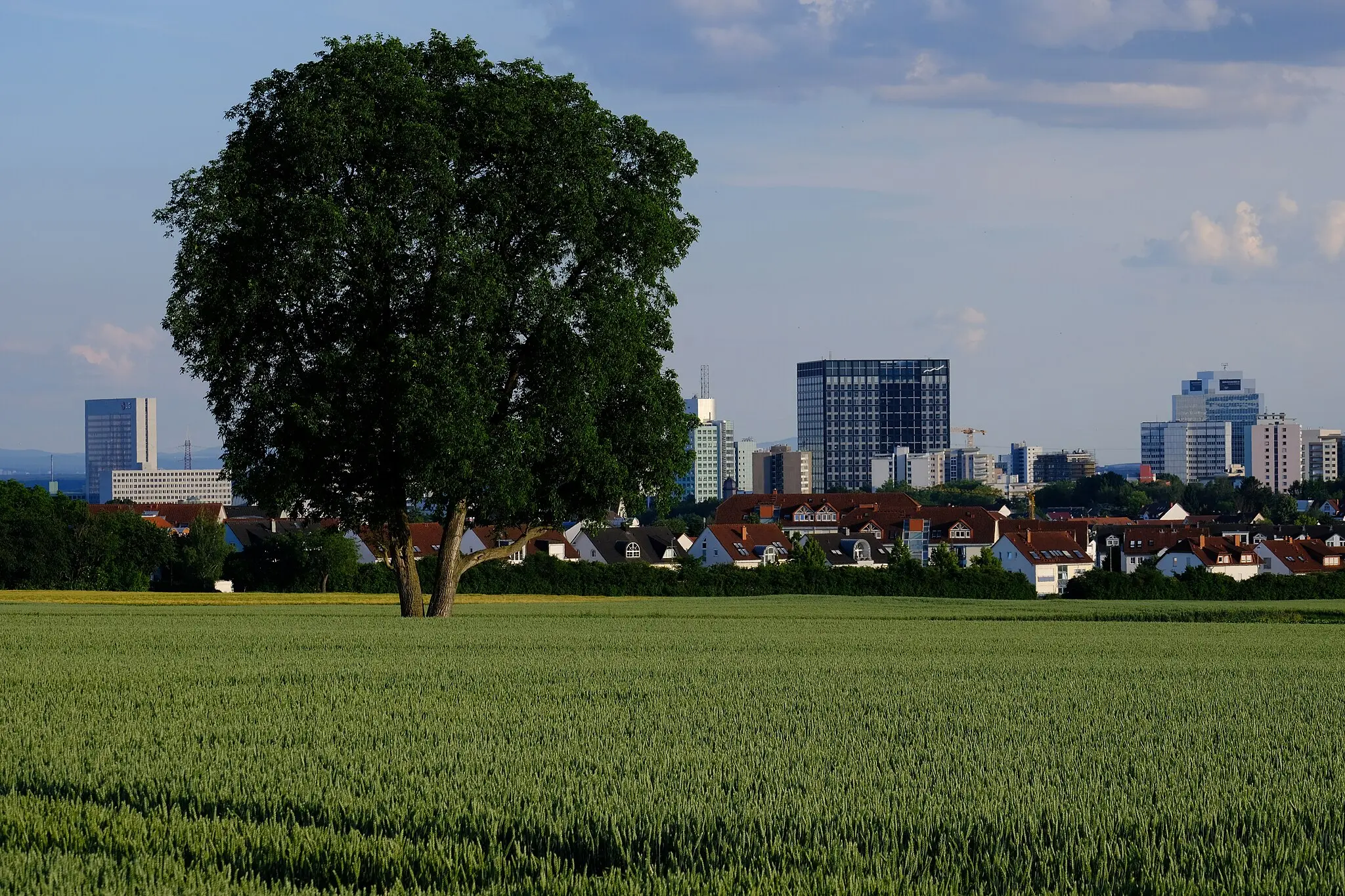 Eschborn Stadtansicht