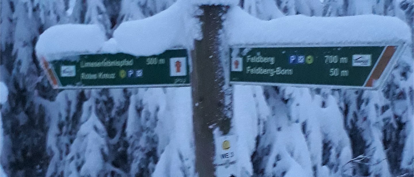 Der Wegweiser aus steht in einem verschneiten Winterwald und zeigt nach recht und links auf verschiedene Wege.