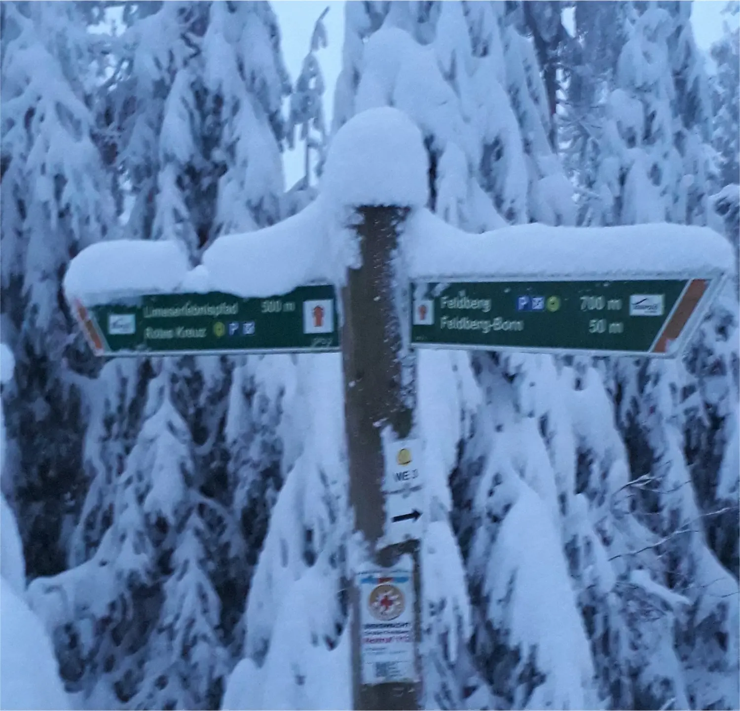 Der Wegweiser aus steht in einem verschneiten Winterwald und zeigt nach recht und links auf verschiedene Wege.