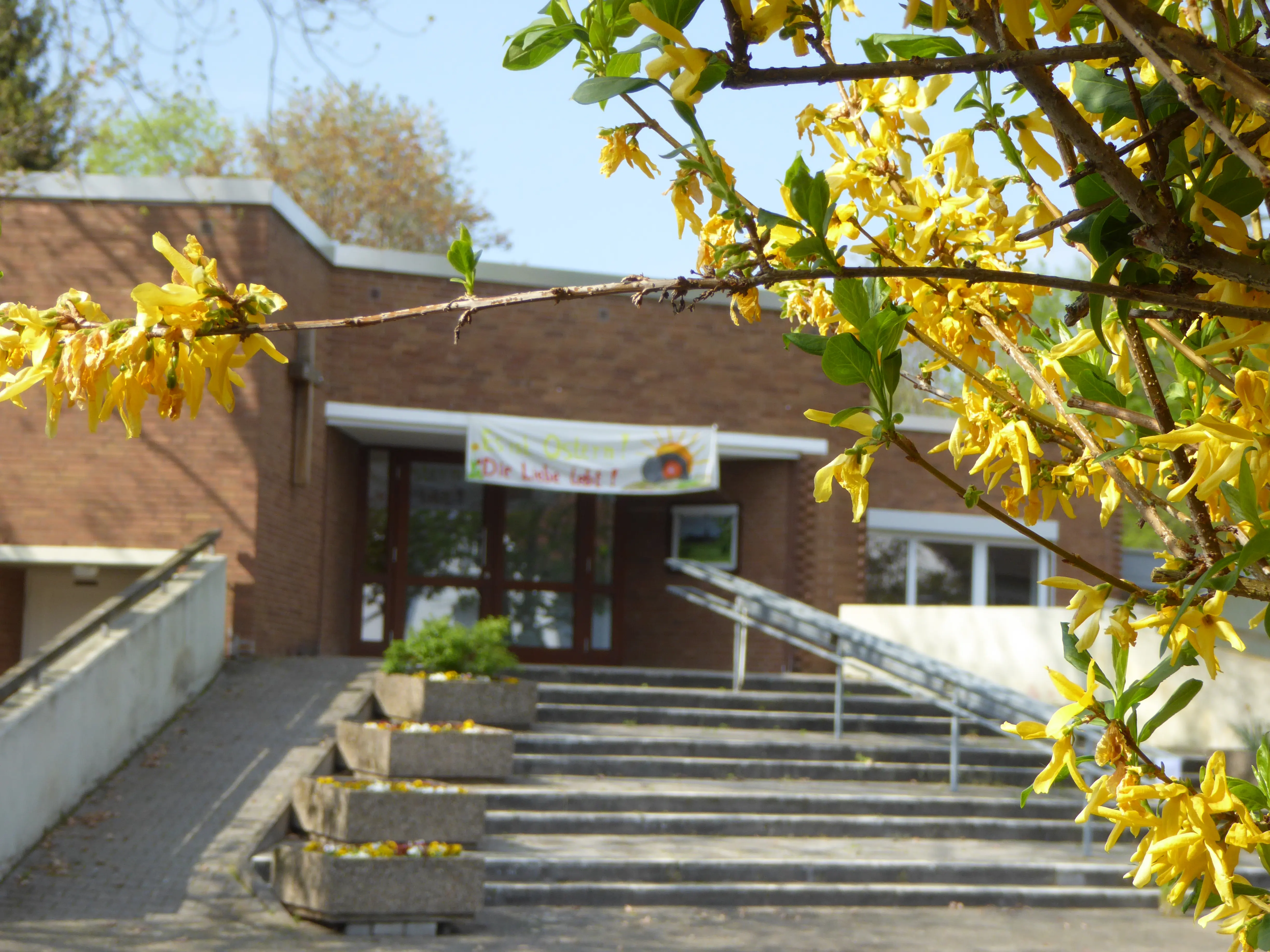 Eingang im Frühling mit gelben Forsythienzweigen davor