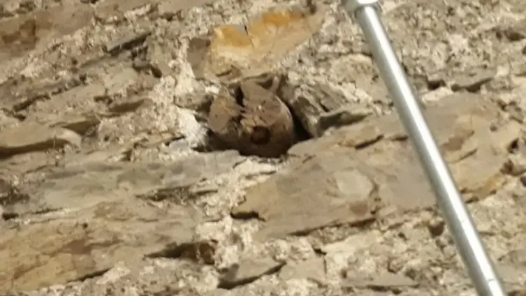 Die Texte und Fotos beruhen auf der "Besonderen Lernleistung - Geschichtsrezeption im digitalen Zeitalter: histocaching" als neue Form der Vergangenheitsbegegnung am Beispiel der Braubacher Barbarakirche." von Tobias Metz.