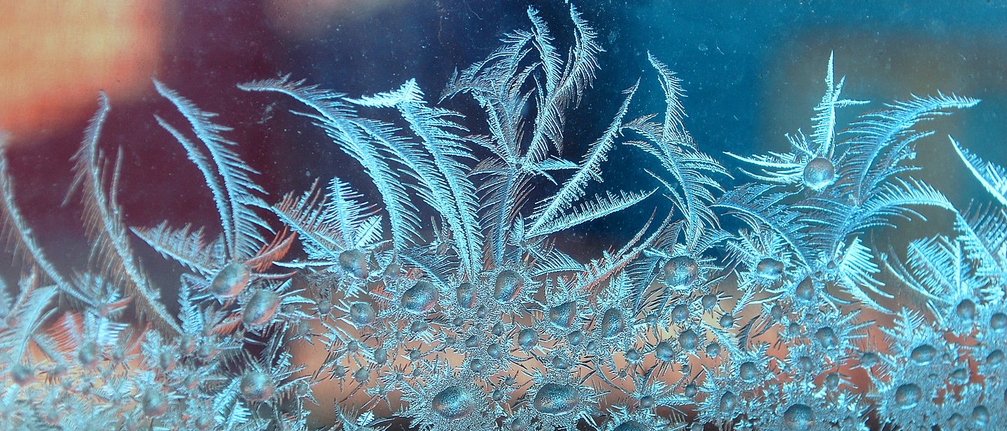 Eisblumen