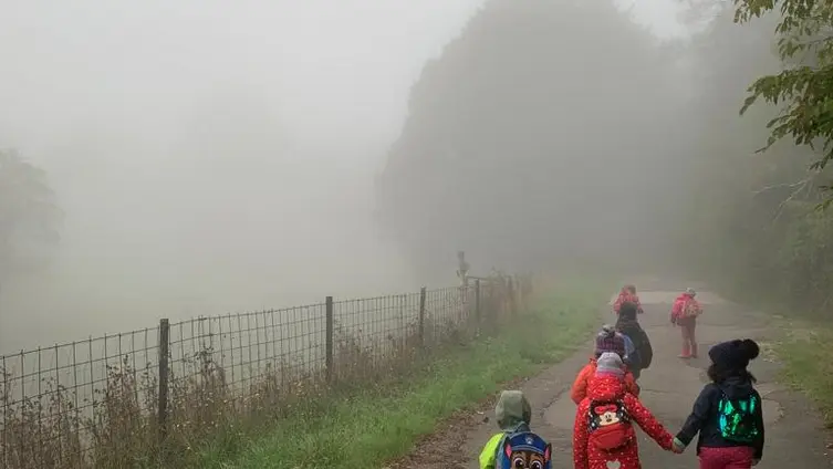 Die Fotos zeigen die KiTa-Kinder bei ihren Aktivitäten während der Waldwochen auf der Scheune.