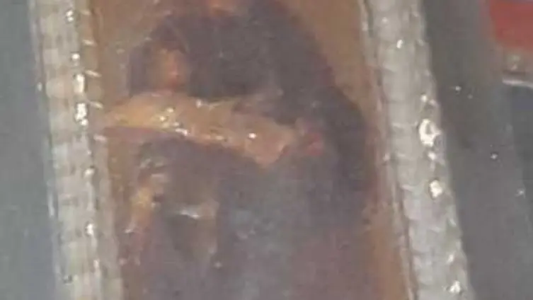 Die Texte und Fotos beruhen auf der "Besonderen Lernleistung - Geschichtsrezeption im digitalen Zeitalter: histocaching" als neue Form der Vergangenheitsbegegnung am Beispiel der Braubacher Barbarakirche." von Tobias Metz.