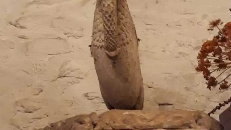 Die Texte und Fotos beruhen auf der "Besonderen Lernleistung - Geschichtsrezeption im digitalen Zeitalter: histocaching" als neue Form der Vergangenheitsbegegnung am Beispiel der Braubacher Barbarakirche." von Tobias Metz.