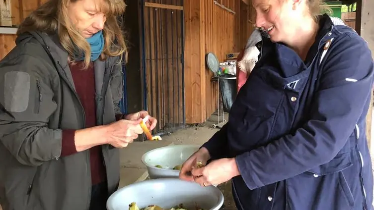 Die Fotos zeigen die KiTa-Kinder bei ihren Aktivitäten während der Waldwochen auf der Scheune.