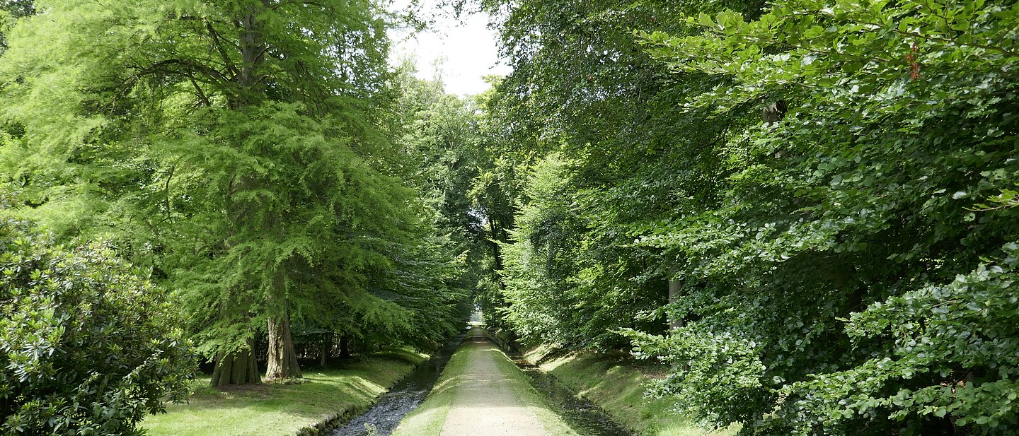 Weg mit Graben