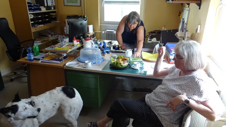 Impressionen aus der Archivbearbeitung