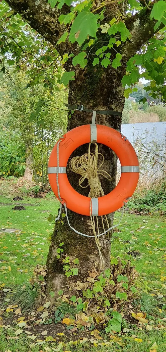 Ein orangener Rettungsring hängt einsatzbereit an einem Baum an einem See